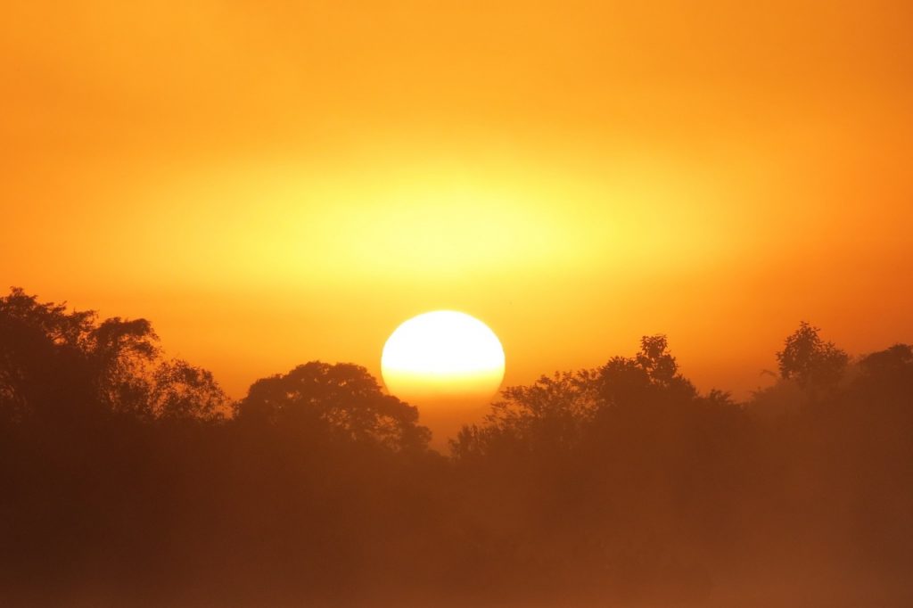 por-do-sol-pantanal